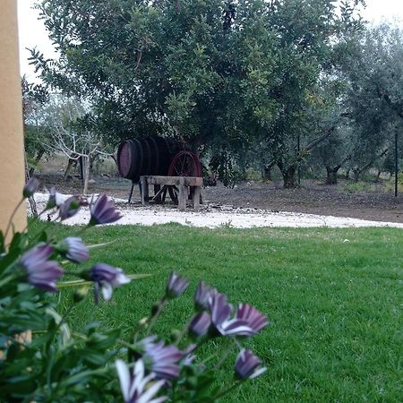 La Buganvilla, Descanso Entre Olivares 오르나추엘로스 외부 사진