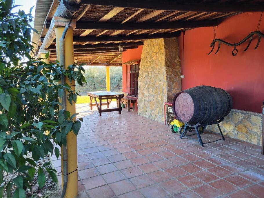 La Buganvilla, Descanso Entre Olivares 오르나추엘로스 외부 사진