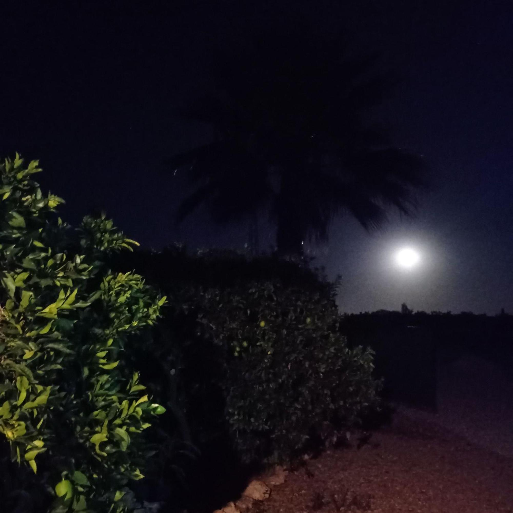 La Buganvilla, Descanso Entre Olivares 오르나추엘로스 외부 사진