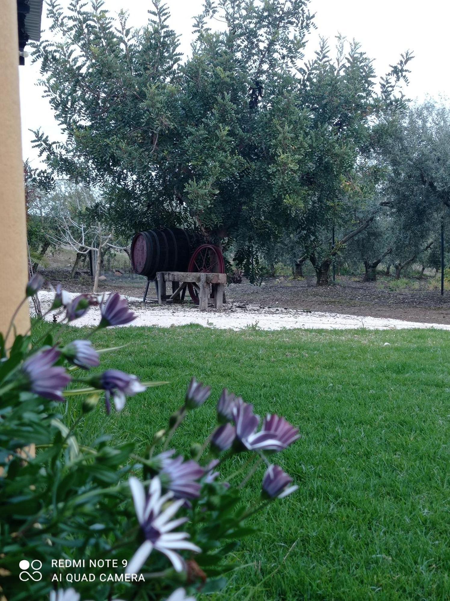 La Buganvilla, Descanso Entre Olivares 오르나추엘로스 외부 사진